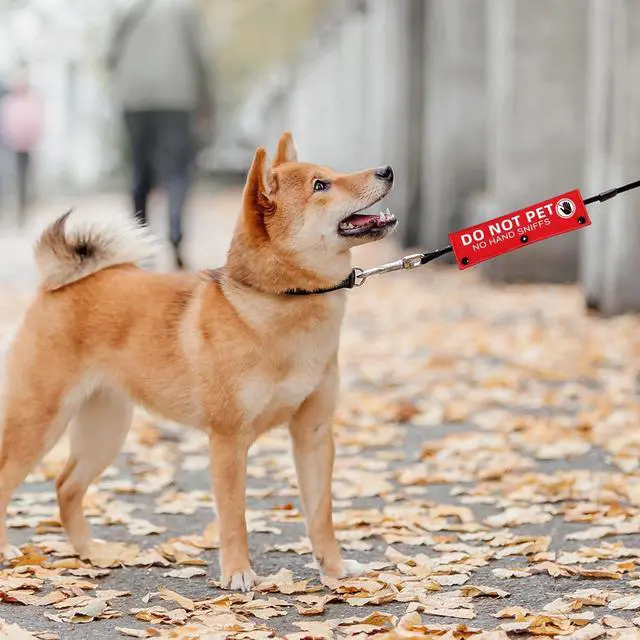 Alt view image 3 of 6 - Advivio Do Not Pet No Hand Sniffs Red Funny Dog Leash Sleeve, Service Dog Leash Sleeve, Pet Birthday Pet Owner Gift