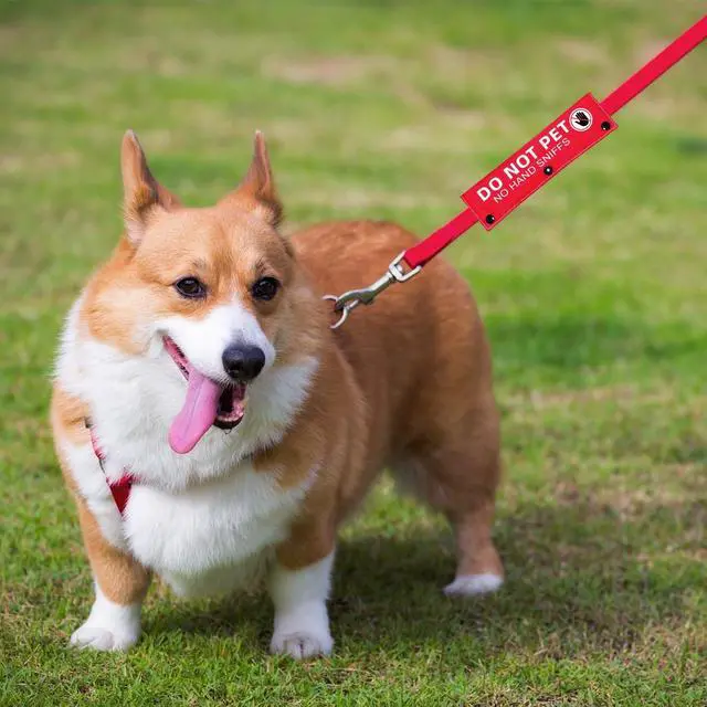 Alt view image 4 of 6 - Advivio Do Not Pet No Hand Sniffs Red Funny Dog Leash Sleeve, Service Dog Leash Sleeve, Pet Birthday Pet Owner Gift