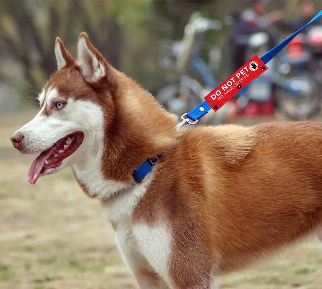 Alt view image 5 of 6 - Advivio Do Not Pet No Hand Sniffs Red Funny Dog Leash Sleeve, Service Dog Leash Sleeve, Pet Birthday Pet Owner Gift