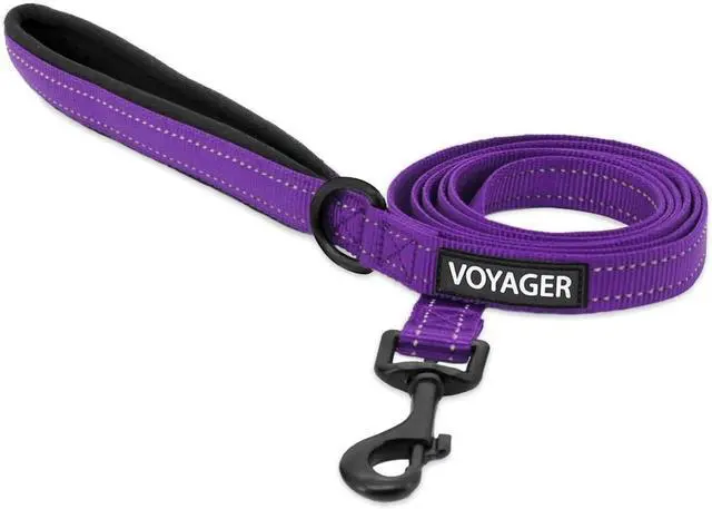 Main image of Best Pet Supplies Voyager Nylon Dog Leash - Purple, Small | 5ft in Length, 5/8" in Width, Reflective, Soft Neoprene Handle, Heavy Duty Metal Clips for Running, Walking & Training