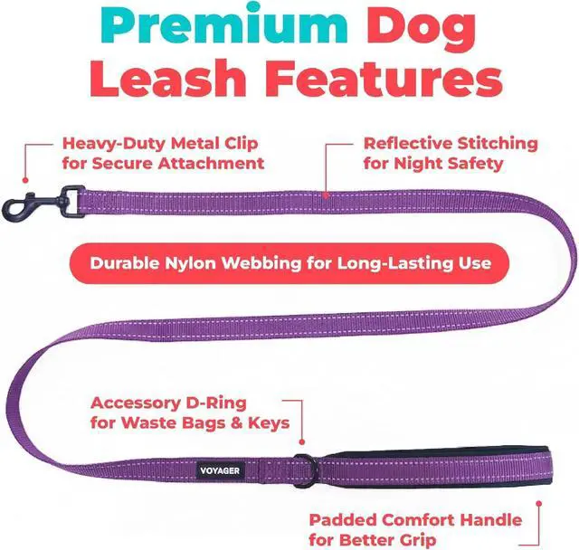 Alt view image 2 of 7 - Best Pet Supplies Voyager Nylon Dog Leash - Purple, Small | 5ft in Length, 5/8" in Width, Reflective, Soft Neoprene Handle, Heavy Duty Metal Clips for Running, Walking & Training