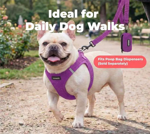 Alt view image 3 of 7 - Best Pet Supplies Voyager Nylon Dog Leash - Purple, Small | 5ft in Length, 5/8" in Width, Reflective, Soft Neoprene Handle, Heavy Duty Metal Clips for Running, Walking & Training