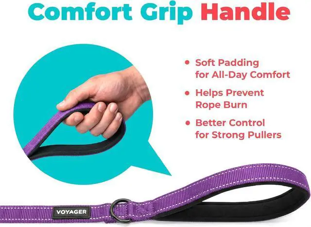 Alt view image 5 of 7 - Best Pet Supplies Voyager Nylon Dog Leash - Purple, Small | 5ft in Length, 5/8" in Width, Reflective, Soft Neoprene Handle, Heavy Duty Metal Clips for Running, Walking & Training