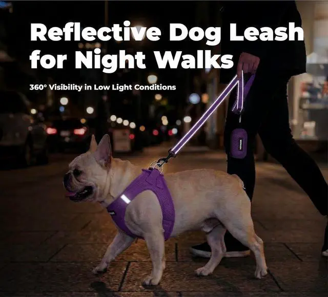 Alt view image 4 of 7 - Best Pet Supplies Voyager Nylon Dog Leash - Purple, Small | 5ft in Length, 5/8" in Width, Reflective, Soft Neoprene Handle, Heavy Duty Metal Clips for Running, Walking & Training