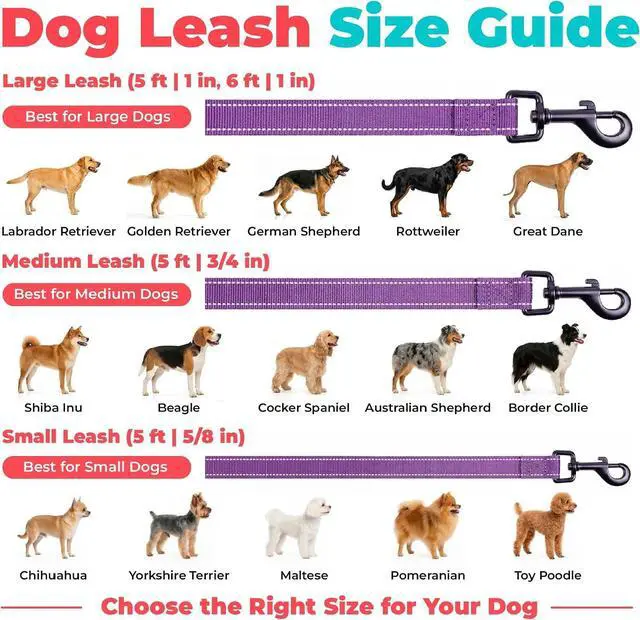 Alt view image 6 of 7 - Best Pet Supplies Voyager Nylon Dog Leash - Purple, Small | 5ft in Length, 5/8" in Width, Reflective, Soft Neoprene Handle, Heavy Duty Metal Clips for Running, Walking & Training
