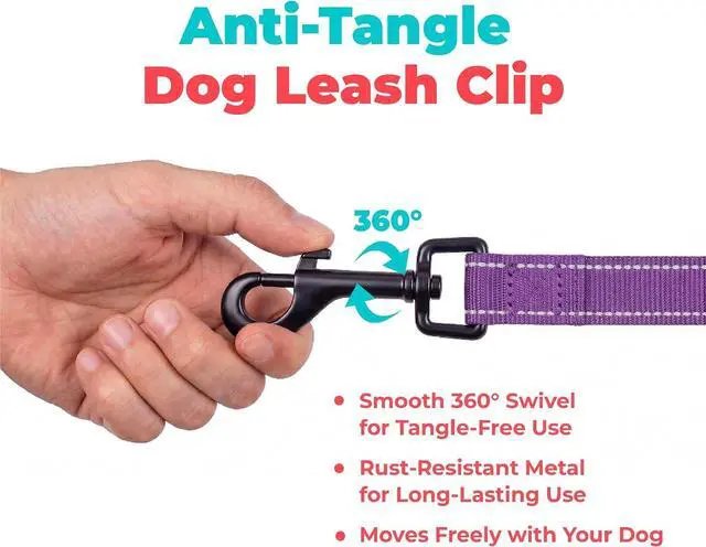 Alt view image 7 of 7 - Best Pet Supplies Voyager Nylon Dog Leash - Purple, Small | 5ft in Length, 5/8" in Width, Reflective, Soft Neoprene Handle, Heavy Duty Metal Clips for Running, Walking & Training