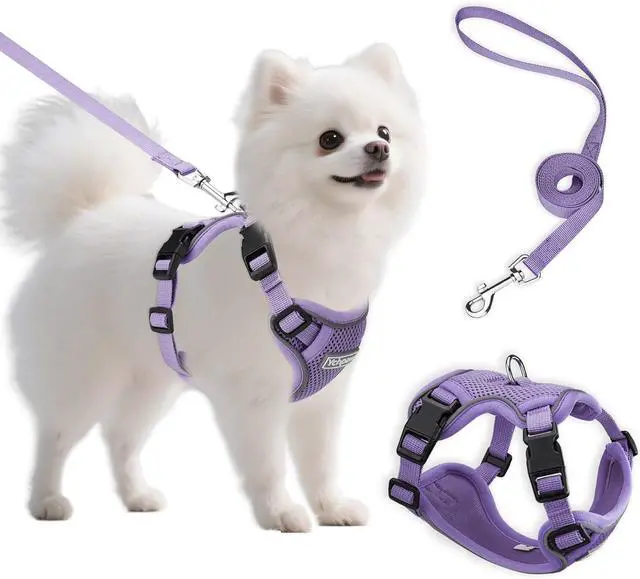 Main image of Small Dog Harness and Leash Set, Adjustable Small Sized Pet Vest | Reflective Soft Breathable Mesh, 3 Buckles, Adjustable Neck and Chest, Easy on and Comfortable Secure Walking, Purple, S