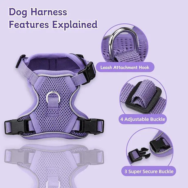 Alt view image 2 of 7 - Small Dog Harness and Leash Set, Adjustable Small Sized Pet Vest | Reflective Soft Breathable Mesh, 3 Buckles, Adjustable Neck and Chest, Easy on and Comfortable Secure Walking, Purple, S