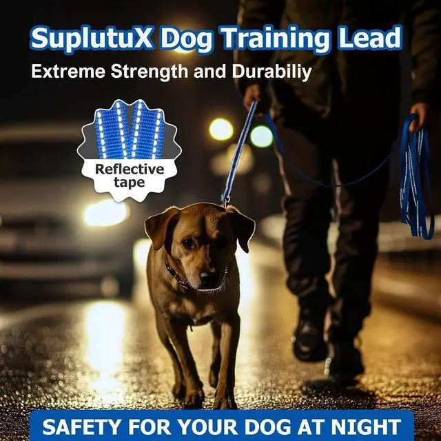 Alt view image 7 of 7 - Reflective Dog Leash10FT/16FT/30FT/50FT/100FT Durable Nylon Training Leash with Heavy-Duty Metal Clasp, High Visibility for Night Walking, Perfect for Small, Large Dogs (Blue, 10FT)