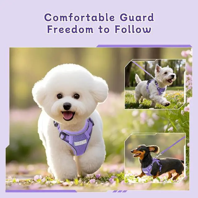 Alt view image 7 of 7 - Small Dog Harness and Leash Set, Adjustable Small Sized Pet Vest | Reflective Soft Breathable Mesh, 3 Buckles, Adjustable Neck and Chest, Easy on and Comfortable Secure Walking, Purple, S