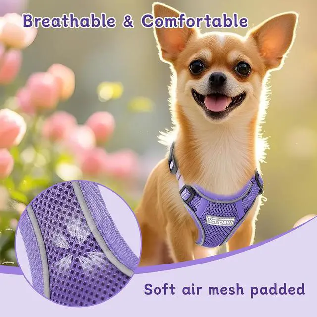 Alt view image 5 of 7 - Small Dog Harness and Leash Set, Adjustable Small Sized Pet Vest | Reflective Soft Breathable Mesh, 3 Buckles, Adjustable Neck and Chest, Easy on and Comfortable Secure Walking, Purple, S