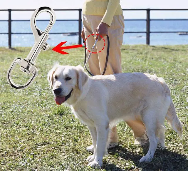 Alt view image 4 of 6 - Penta Angel 4Pcs Dog Leash Clasp Heavy Duty Snap Hooks Clips Pet Leashes Key Chain with Spring Buckle for Linking Pet Collar (4 PCS)