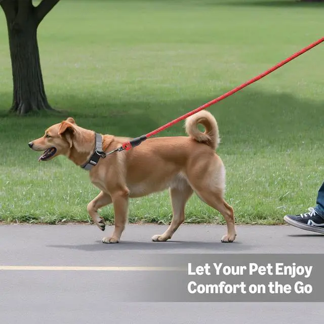 Alt view image 4 of 6 - Amazon Basics Round Dog Leash, Heavy Duty, Durable Rope for Small, Medium, and Large Dogs, Lightweight Design for Walking, Training, and Outdoor Activities, Red, 6 Ft