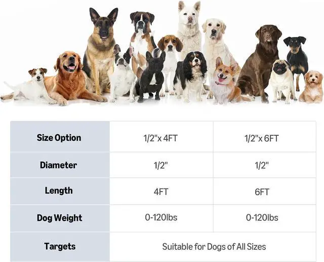 Alt view image 6 of 6 - Amazon Basics Round Dog Leash, Heavy Duty, Durable Rope for Small, Medium, and Large Dogs, Lightweight Design for Walking, Training, and Outdoor Activities, Red, 6 Ft