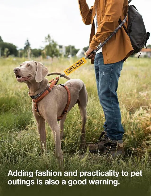 Alt view image 6 of 6 - Yellow Do Not Pet Leash Sleeve, Funny Dog Leash Sleeve Hanging Service Dog ID Patch Tags Birthday Gifts for Pet Owners