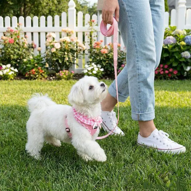 Alt view image 5 of 7 - SuperBuddy Upgraded Soft Mesh Dog Harness, Super Breathable Lightweight Pet Harnesses for Puppy Dogs Outdoor Walking, Pink Dog Harness and Dog Leash Set Packing -Small