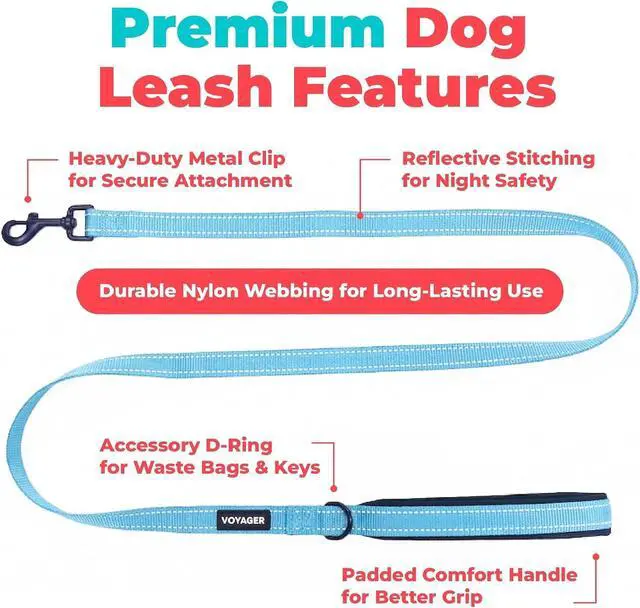 Alt view image 2 of 7 - Best Pet Supplies Voyager Nylon Dog Leash - Baby Blue, Small | 5ft in Length, 5/8" in Width, Reflective, Soft Neoprene Handle, Heavy Duty Metal Clips for Running, Walking & Training
