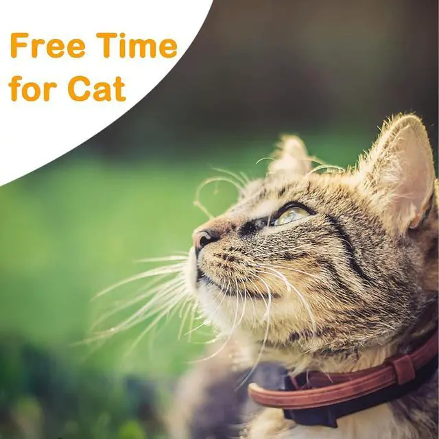 Alt view image 6 of 7 - Extra Long Cat Leash for Yard, Lightweight Outdoor Cat Leash Long Light Extension, Long Thin Lead for Rabbits, Kitten, Puppy and Small Animals (4.5M/ 15FT)