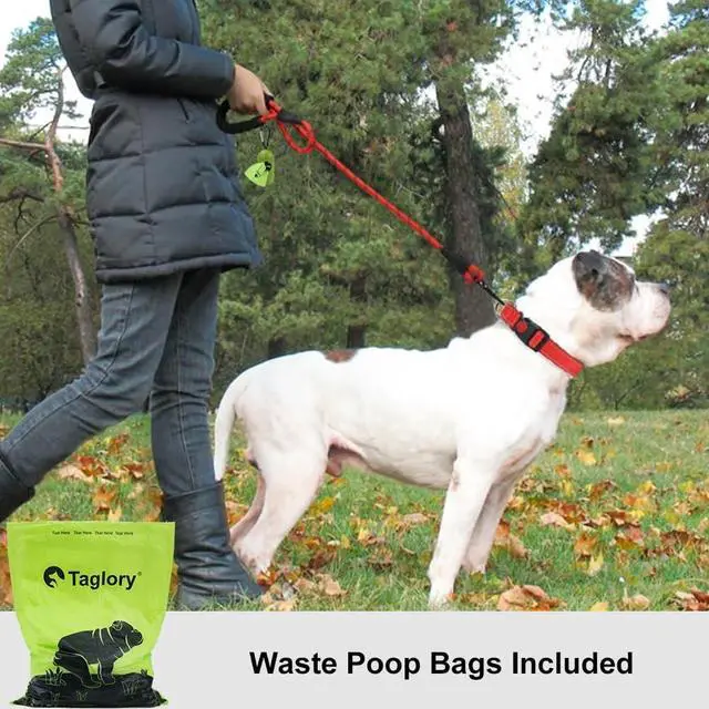 Alt view image 2 of 6 - Taglory Rope Dog Leash for Medium Large Dogs, 6 FT Padded Handle, Red | Climbing Rope for Strong Pullers, Reflective for Night Walks and Training, Comfortable Grip, Anti-tangle Swivel Clip 1/2 inch