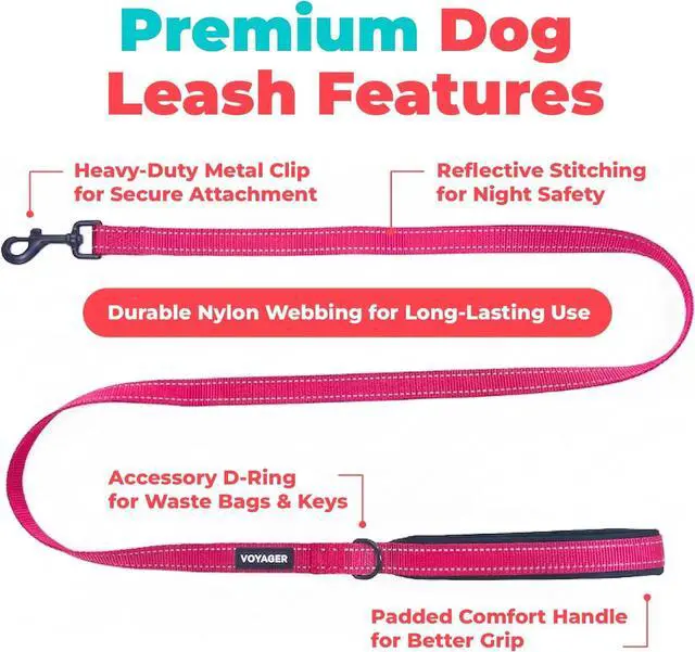 Alt view image 2 of 7 - Best Pet Supplies Voyager Nylon Dog Leash - Fuchsia, Small | 5ft in Length, 5/8" in Width, Reflective, Soft Neoprene Handle, Heavy Duty Metal Clips for Running, Walking & Training