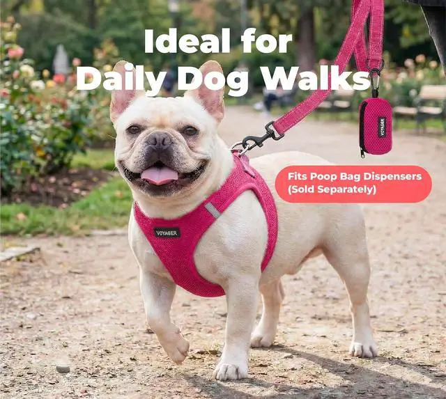 Alt view image 3 of 7 - Best Pet Supplies Voyager Nylon Dog Leash - Fuchsia, Small | 5ft in Length, 5/8" in Width, Reflective, Soft Neoprene Handle, Heavy Duty Metal Clips for Running, Walking & Training