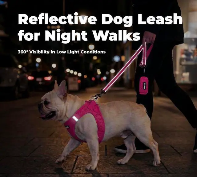 Alt view image 4 of 7 - Best Pet Supplies Voyager Nylon Dog Leash - Fuchsia, Small | 5ft in Length, 5/8" in Width, Reflective, Soft Neoprene Handle, Heavy Duty Metal Clips for Running, Walking & Training