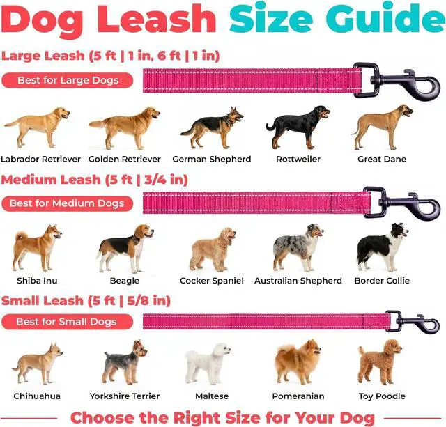 Alt view image 6 of 7 - Best Pet Supplies Voyager Nylon Dog Leash - Fuchsia, Small | 5ft in Length, 5/8" in Width, Reflective, Soft Neoprene Handle, Heavy Duty Metal Clips for Running, Walking & Training