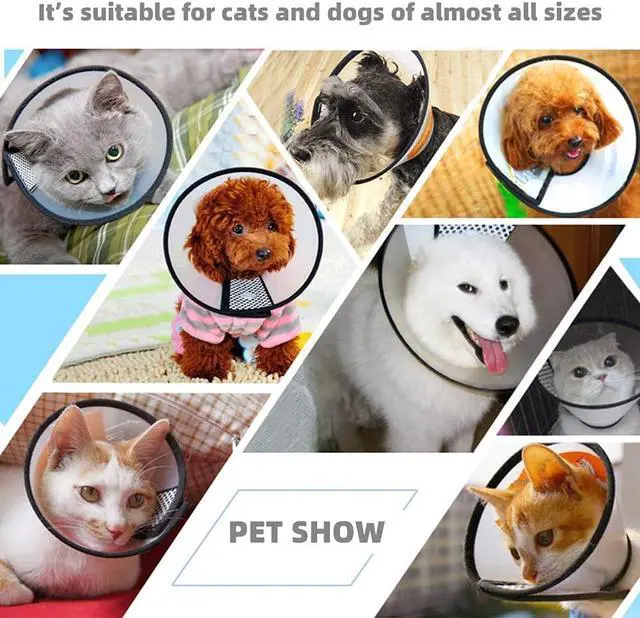 Alt view image 5 of 6 - Plastic Pet Recovery Collars & Cones for Dogs and Cats After Surgery Adjustable Dog Neck Cone Surgical Elizabeth E-Collar Prevent Biting and Stop Licking Wound (S)