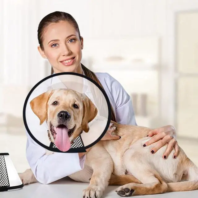 Alt view image 6 of 6 - Plastic Pet Recovery Collars & Cones for Dogs and Cats After Surgery Adjustable Dog Neck Cone Surgical Elizabeth E-Collar Prevent Biting and Stop Licking Wound (XXXS)