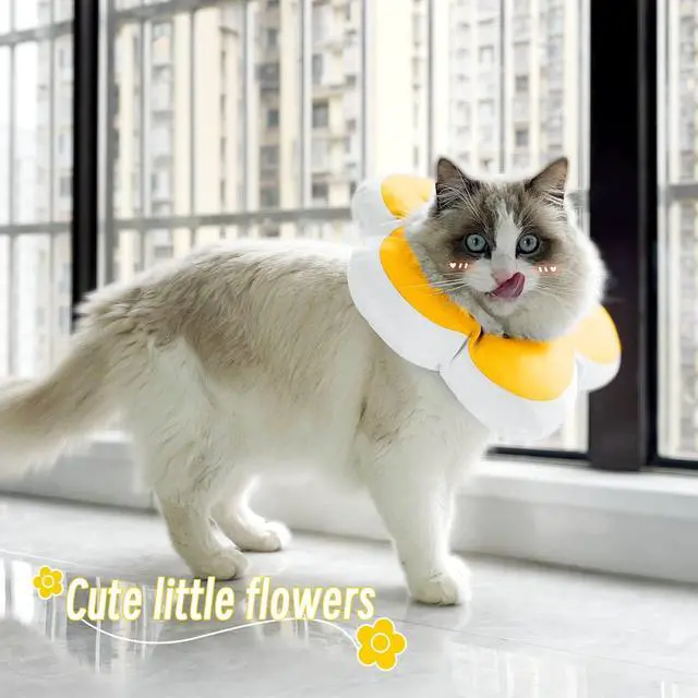 Alt view image 4 of 7 - Cat Cone Collar,Cute Flower Waterproof Elizabethan e Collar for Cat and Small Dog Anti-Bite Lick Wound Healing Protective Neck Cone After Surgery Recovery Collar for Small Pet,All-Season Style