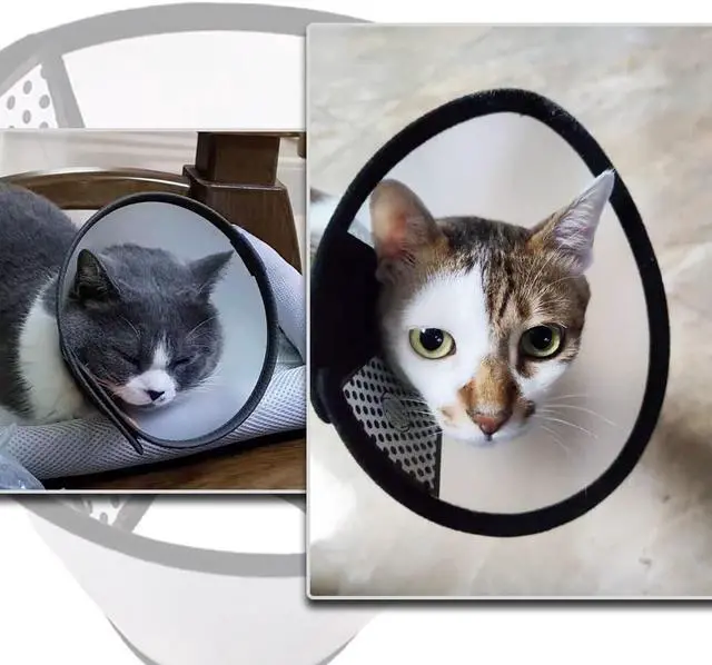 Alt view image 5 of 7 - 2 Pcs Cat Cone Dog Con,Adjustable Recovery Pet Cone,Fits Neck 7-11 inch Adjustable,Plastic Elizabethan Collar for Cats Kitten Small Dog After