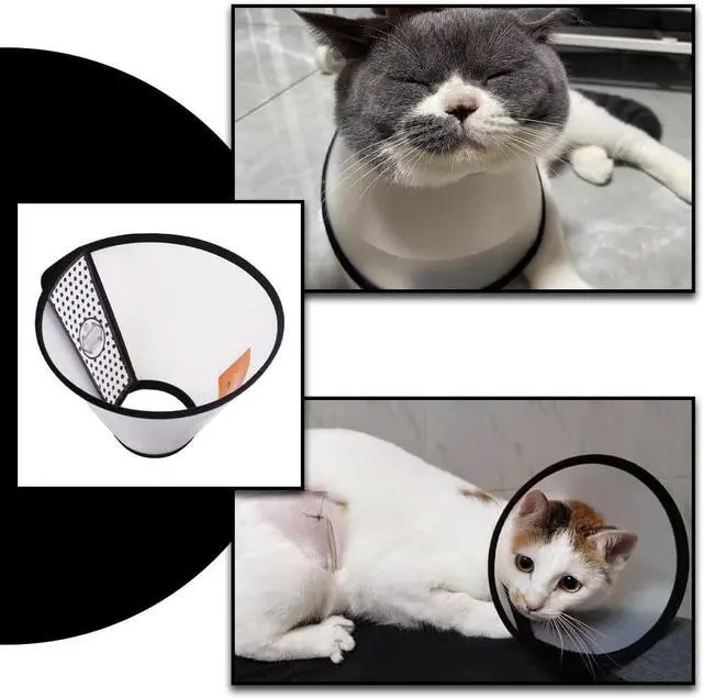 Alt view image 6 of 7 - 2 Pcs Cat Cone Dog Con,Adjustable Recovery Pet Cone,Fits Neck 7-11 inch Adjustable,Plastic Elizabethan Collar for Cats Kitten Small Dog After
