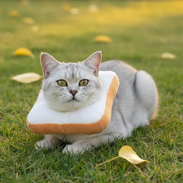 Alt view image 7 of 7 - Adjustable Cat Cone Soft Cat Recovery Collar Kitten Cones After Surgery Neutering Toast Pet Neck Strap to Stop Licking Lightweight Comfortable Elizabethan Collar for Puppies Kitten Adult Cats