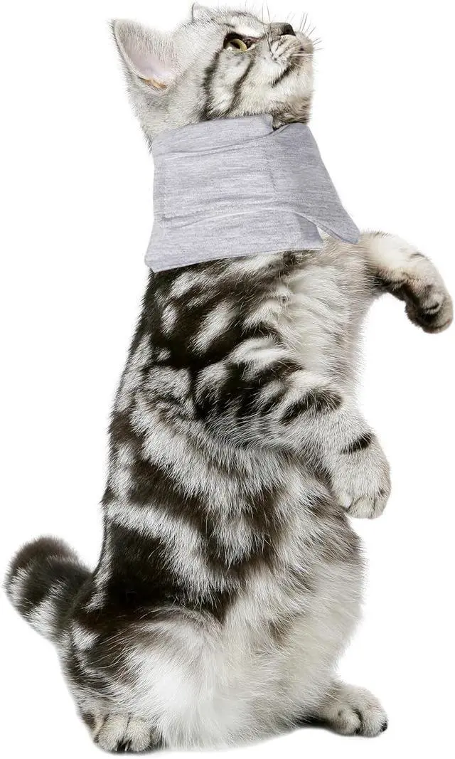 Alt view image 3 of 6 - Cat Neck Brace, Breathable & Adjustable Cone Collar After Surgery Recovery Anti-Scratch Anti-Lick Protection, Suitable for Neck Circumference 6.3-8.6 Inch Small Dogs Puppies Kittens (Grey, XS)