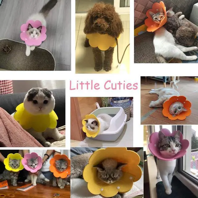 Alt view image 6 of 6 - Adjustable Cat Recovery Collar - Cute Flower Neck Cones After Surgery, Set of 2, Surgery Recovery Elizabethan Collars for Kitten and Cats S Size (2 pcs)