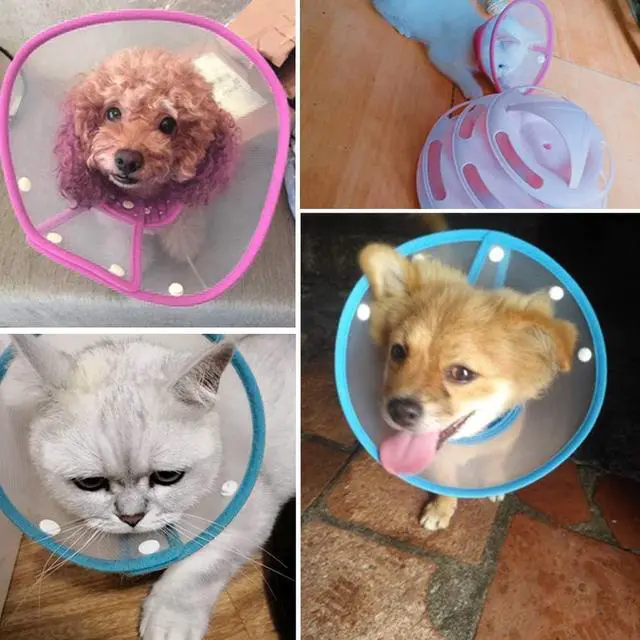 Alt view image 4 of 5 - Pet Cone Recovery Dog Cone Adjustable Dog Collar Clear Padded Collar with Breathable Soft Edge, Plastic Puppy Cone Protect The Neck Surgery Recovery, Designed for Cats and Puppies (Small, Blue)