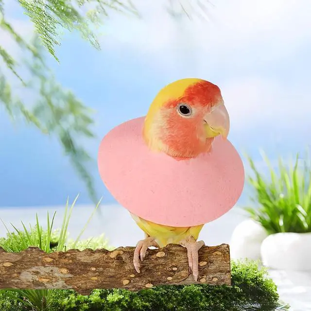 Alt view image 3 of 7 - 3 Pack Anti-bite Bird Collars Anti-Grab Feather Plucking Wound Healing Safety Elizabethan Collar Neck Protector Recovery Cones for Budgerigar Cockatiel Lovebirds Cockatoo Parrots-S