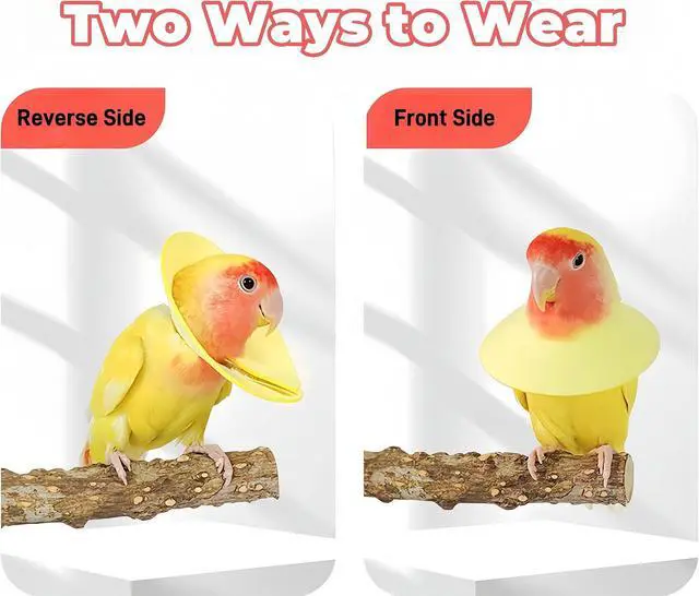 Alt view image 6 of 7 - 3 Pack Anti-bite Bird Collars Anti-Grab Feather Plucking Wound Healing Safety Elizabethan Collar Neck Protector Recovery Cones for Budgerigar Cockatiel Lovebirds Cockatoo Parrots-S