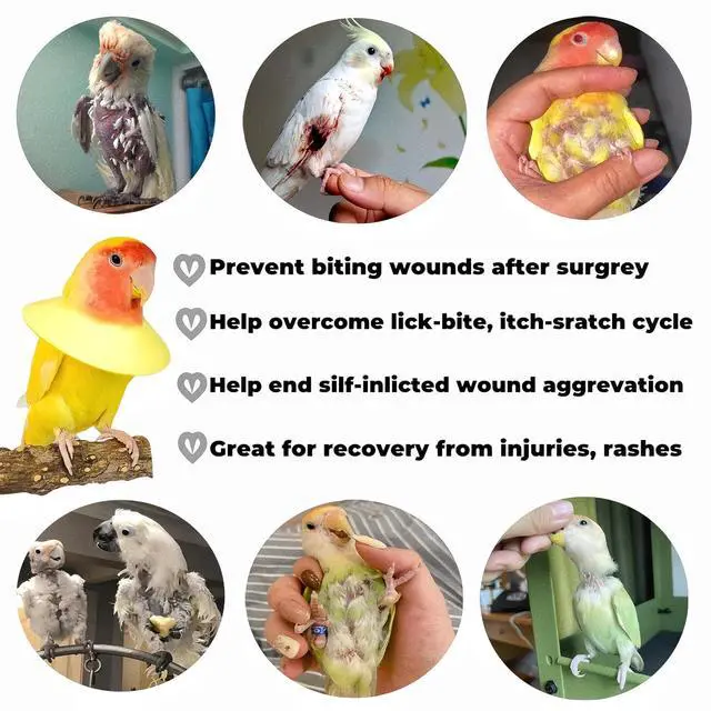 Alt view image 5 of 7 - 3 Pack Anti-bite Bird Collars Anti-Grab Feather Plucking Wound Healing Safety Elizabethan Collar Neck Protector Recovery Cones for Budgerigar Cockatiel Lovebirds Cockatoo Parrots-S