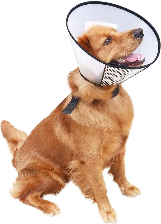 Alt view image 6 of 6 - Plastic Pet Recovery Collars & Cones for Dogs and Cats After Surgery Adjustable Dog Neck Cone Surgical Elizabeth E-Collar Prevent Biting and Stop Licking Wound (S)