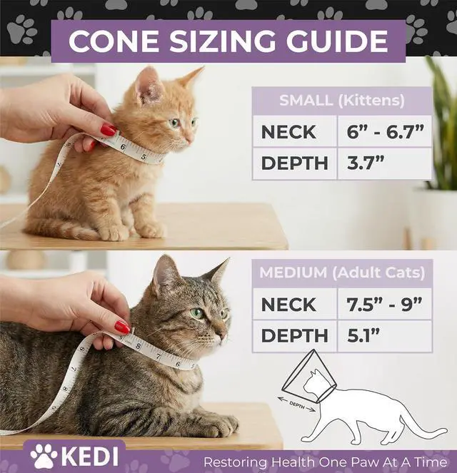 Alt view image 3 of 7 - Cat Cone Collar After Surgery to Stop Licking, Escape-Proof, Black Small | Soft Padded Neck, 180 Clear View, Quiet Button Closure, Adjustable Fit for Kittens and Adult Cats