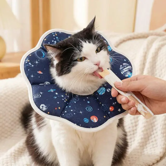 Alt view image 5 of 7 - Cat Cone Collar Adjustable, Protective Recovery Collar Soft, Cat Cone for Prevent Licking Wound After Surgery, Pet Neck Cone for Kitten CatsM