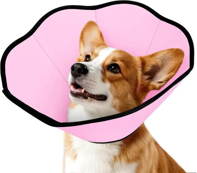 Main image of MIDOG Dog Cone Collar After Surgery, Soft Dog Cone Alternative to Stop Licking,Adjustable Elizabethan Recovery Cones for Small to Large Sized Dogs