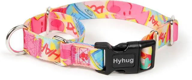 Main image of Hyhug Design Pattern Martingale Collar for Small Dogs Escape - Proof| No Pull Durable for Outdoor Use, Ideal for Training & Daily Walks Small Dog Collar (Colorful Dog, XXS)