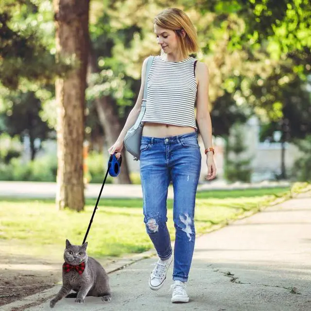 Alt view image 7 of 7 - Retractable Dog Leash for Medium - Small Dogs and Cats 16.5FT Tangle Free, Heavy Duty Walking Leashes with Anti Slip Handle, Pause and Lock Strong Nylon Tape, Store Dog Leash Retractable(Blue)