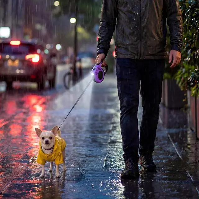 Alt view image 7 of 7 - Retractable Dog Leash with USB Rechargeable Flashlight, Purple | 16FT Automatic Telescopic Tractor Dog Leash, Durable ABS Case and Comfort Grip, Designed for Small Medium Dogs Up to 30lbs