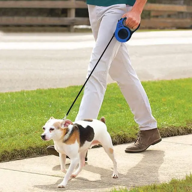 Alt view image 6 of 6 - Retractable Dog Leash 10ft, Tangle-Free Expandable Leash for Small Dogs Up to 22lbs, Easy-Adjust Lock & Anti-Slip Handle for Safe Walks
