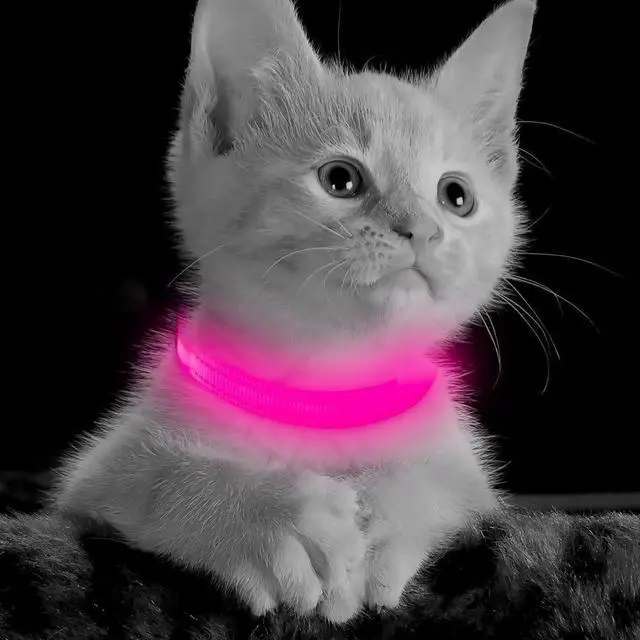Alt view image 6 of 7 - BSEEN Light Up Dog Collar for Puppies & Cats (Pink) | Reflective Glow in the Dark Rechargeable Adjustable Flashing Illuminous Safety Dog Lights for Night Walking