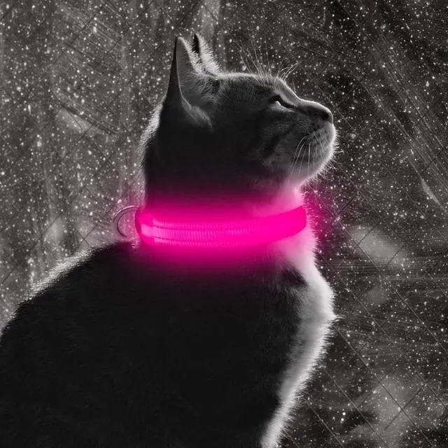 Alt view image 7 of 7 - BSEEN Light Up Dog Collar for Puppies & Cats (Pink) | Reflective Glow in the Dark Rechargeable Adjustable Flashing Illuminous Safety Dog Lights for Night Walking