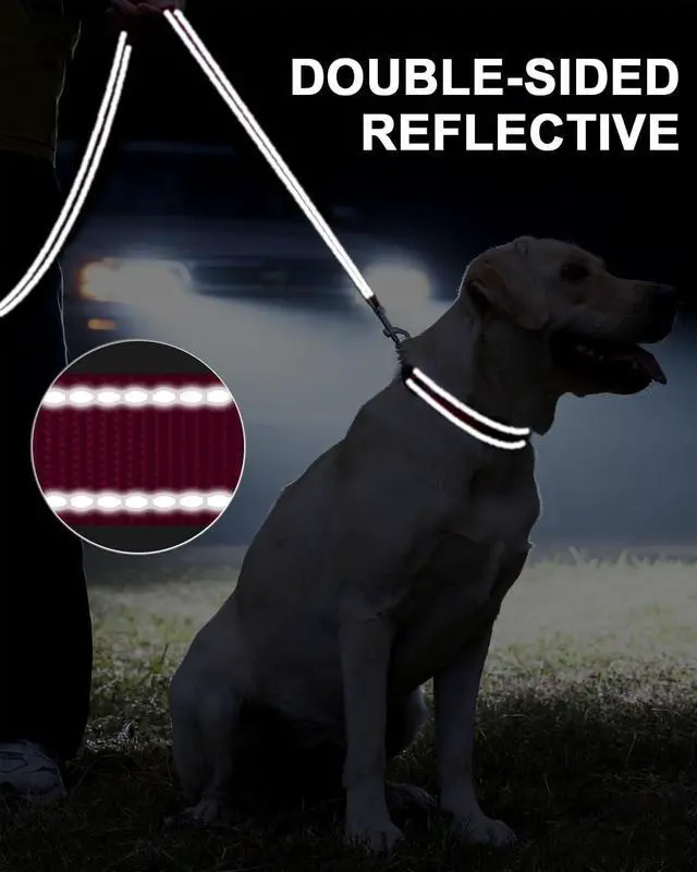 Alt view image 5 of 7 - Taglory Reflective Dog Leash for Small Dogs, 3/4in x 4ft, Hot Pink | Ideal for Night Walking, Strong for Sudden Pulls, Lightweight & Gentle on the Neck, Soft Padded Handle